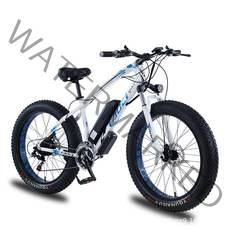 TOC 전기자전거 36V 48V 750W PAS 스로틀겸용 21단기어, 48V 750W 13AH, 화이트