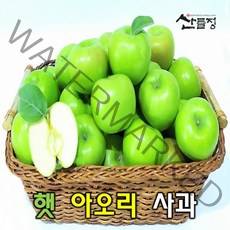 경북사과 햇 아오리 사과10kg 5kg 3kg [산지직송] 산들정, 1box, 01. 아오리 3kg (11~15과 내외)가정용흠과