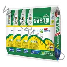 동송농협 철원오대쌀 2021년산, 20kg, 4개