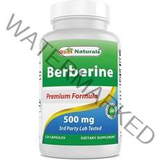 베스트 Naturals Berberine 500mg 120 캡슐 - 면역 기능 심혈관 위장 기능 지원