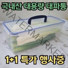 1+1 국산 대파통 파보관통 야채 채소 샐러드 보관용기 냉장고 정리 냉동실정리 4도어, [1+1] 대파보관함(4.15L)