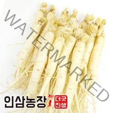 더굿진생 금산 인삼 햇 원수삼 세척 수삼 삼계탕인삼 실속형 업소용 오쿠용, 1개, 원수삼450g(14~16뿌리)