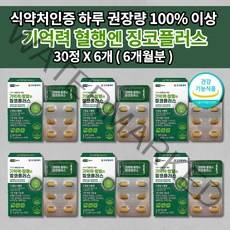 두뇌 뇌 건강 기억 장애 기억력 저하 감퇴 향상 개선 좋아지는 법 노인성 뇌에 좋은 말초 심장 심뇌 뇌 혈관 질환 증상 혈액 정맥 순환 순환제 건강 기능 영양제 징코 플러스 30정