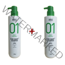 아모스 퓨어스마트 샴푸 프레시 유분케어 산뜻한 타입 500g 1+1 비듬두피샴푸