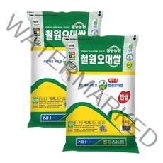 동송농협 철원오대쌀 2021년산, 2개, 4kg