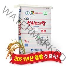 동철원농협 철원 오대쌀 10kg 2021년 국내산 당일도정 햅쌀