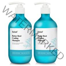 달리프 애플 민트 베러루트 쿨링 탈모완화 지성두피 샴푸, 500ml, 2개