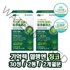 징코 혈액순환 개선제 징코 은행잎 영양제 은행잎 추출물 손가락 손 발 저림 혈액순환제 비타민 B1 B2 B6 아연 함유 기억력 개선도움 개별포장 건강기능식품 식약처허가, 2 E .A 6 o. (정)