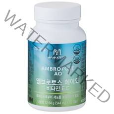 매나테크h 앰브로토스 AO(544mgx60캡슐)