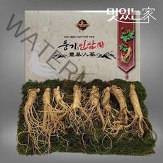 맛있는 풍기인삼 5년근 수삼 500g 8-10뿌리, 없음, 상세설명 참조