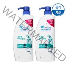 헤드앤숄더 가려운 두피 케어 샴푸, 850ml, 2개