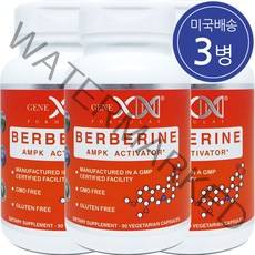 제넥스포뮬러 베르베린 90 야채캡슐 3병, 90정
