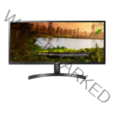 LG전자 73cm WFHD 울트라 와이드 모니터, 29WL500