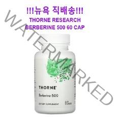 쏜리서치 베르베린 500 mg Botanical Compound to Support 혈당 대사 지지 콜레스테롤 수치를 촉진 미생물 균형을 지원 노화 방지, 60 정