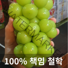 과일시스터즈 샤인머스켓 프리미엄 500g 1kg 2kg