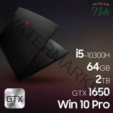 MSI 게이밍 노트북 GF시리즈 GF63 Thin 10SC-i5, 64GB, 2TB, 윈도우 포함
