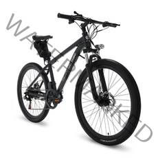 에이유테크 스카닉 M180 36V 5Ah MTB 전기자전거, 블랙, 스틸