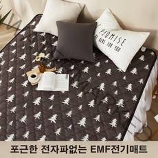 주)대호플러스 전자파없는 더안 EMF 전기매트 전기장판 침대용 캠핑용 1인용 2인용 3인용 온열매트 미니 싱글 더블 퀸, 150x200