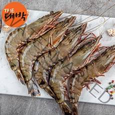 특A+급 자연산 블랙타이거새우 1팩 500g 왕새우 대하, 1box, 블랙타이거새우 6미(500g)
