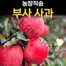 가정용 부사 사과 안동사과 청송사과 소과 중과 대과 4.5kg 꿀사과 못난이사과, 04.사과 대과 4.5kg
