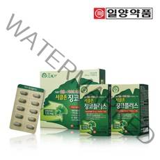 일양약품 서클존 징코플러스 60정 4개월분, 2개