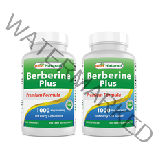 Best Naturals Berberine Plus 1000mg/Serving 120 Capsules, 120개입, 2개