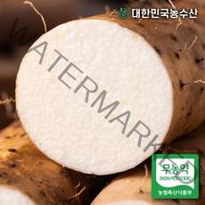 대한민국농수산 국내산 마 2kg, 3. 무농약 진주 장마 (특품) 2kg