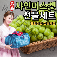 하르방마켓 산지직송 고당도 프리미엄 샤인머스켓 설선물세트 과일 씨없는 망고 포도 샤인머스캣 1kg이상 2kg 명절 설 구정 새해 추석 명절 선물 세트, 01. 실속형(900g-1kg)
