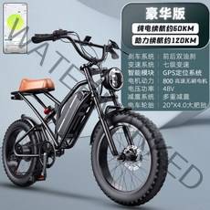 EMTB 산악전기자전거 mtb 전기 팻바이크 479952, 48V, 10AH, 옵션06