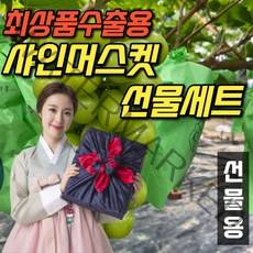 프리미엄 샤인머스켓 선물세트 고급 보자기 씨없는 포도 샤이머스캣 추석 과일 선물 세트, <b.1> 선물용 1kg(1~2수)
