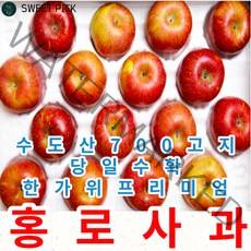 [스윗픽] 수도산 700고지 한가위 프리미엄 당도높은 수도산 홍로사과 10kg, 홍로사과 10키로 중대과(36~38과)