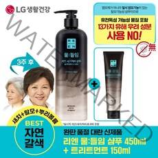 리엔 [자연갈색] 물들임 새치커버 샴푸 450ml+새치커버 트리트먼트150ml, 1세트
