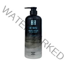 [LG생활건강]리엔 물들임 새치커버 샴푸 대용량 550ml, 1개