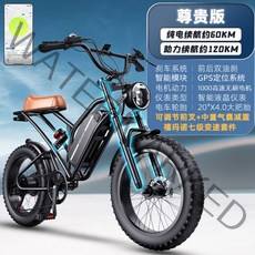 EMTB 전기 팻바이크 산악전기자전거 mtb 479909, 48V, 25AH, 옵션03