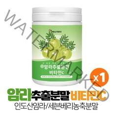 비타리온 암라추출분말 암라 가루 파우더 천연 비타민C 아마륵 인디안 구스베리 빌베리 농축분말 암라열매 먹는 방 법, 230g x 1개