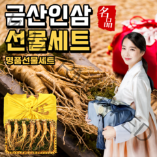 금산인삼 선물 세트 6년 설선물세트 원수삼 난발삼 작은난발 잔난발 믹사 한뿌리 명절 설 구정 추석 선물세트, 04. 가정용 인삼 중난발 750g