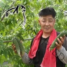 효과좋은 오키나와 특A최상품 생여주3k_5k/건여주, 1box, 생여주5k
