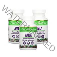 파라다이스허브 암라 가루 열매 추출물 Amla 60정 3통