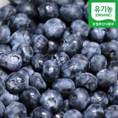 국산 유기농 냉동 아이스 블루베리 1kg 중과