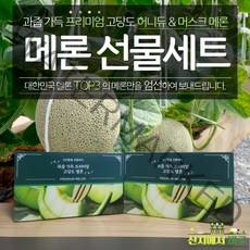 산지에서바로 프리미엄 고당도 머스크메론 선물세트 4kg 8kg 허니듀메론 선물세트 4kg 8kg, 2. 머스크메론 4kg