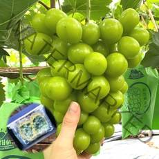최고급 샤인머스켓 선물세트 1kg 2kg 프리미엄 과일 선물 세트 제철과일 씨없는포도 청포도, 3_1. 명절선물용 샤인머스켓 (2수)