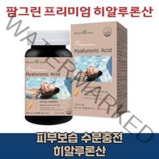 미국직수입 히알루론산 비타민 미내랄 피부보습 피쉬 콜라겐 콜라갠 알로에배라 수분충전 온가족 20대 30대 40대 여성 캡슐 알약 영양제, 2개(4개월분)