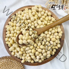 특품 2021년 햇 국산 백태 대원콩 메주콩 대두 두부콩 국내산, 1개, 1kg