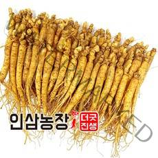 더굿진생 금산인삼 수삼 햇인삼 원수삼 삼계탕재료 가정 업소용 350g, 1개, (세척안함)식당알뜰형350g(40~50뿌리