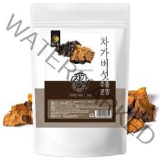 20배 농축 차가버섯추출분말 500g