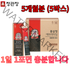 정관장 에브리타임 선택구매 1개월분-6개월분 면역력증진 피로개선 언제 어디서든 홍삼정섭취 간편섭취, 에브리타임 5개월분 (5 BOX)-주력상품