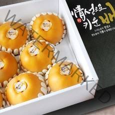 산지직송 최상품 나주배 신고배 선물용 가정용 배 선물세트 제수용 설 추석 당도선별 못난이 흠집 과일 세트 5kg 7.5kg 15kg, 가정용 5kg (9~10과)
