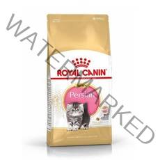 페르시안 키튼 4KG384557 37, 페르시안 키튼 4kg 고양이사료