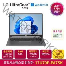 LG전자 울트라기어 17U70P-PA7SK (i7-1165G7 NVMe 256GB 8GB), WIN11 Home, 40GB, 768GB, 코어i7, 다크실버