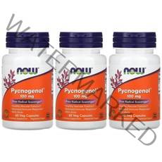 2+1 나우푸드 호팍사 피크노제놀 암라 Pycnogenol 100mg 베지 캡슐 60정, 1개, 기본